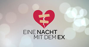 Eine Nacht mit dem Ex